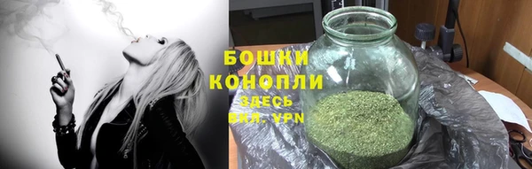 МДПВ Бронницы