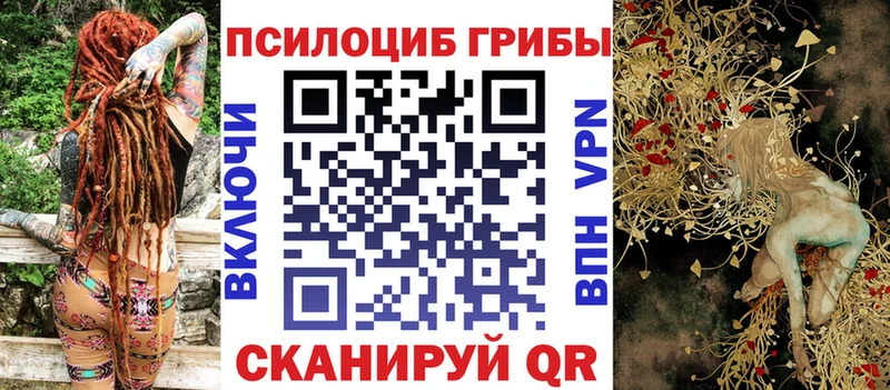 Галлюциногенные грибы ЛСД  где продают   Вяземский 